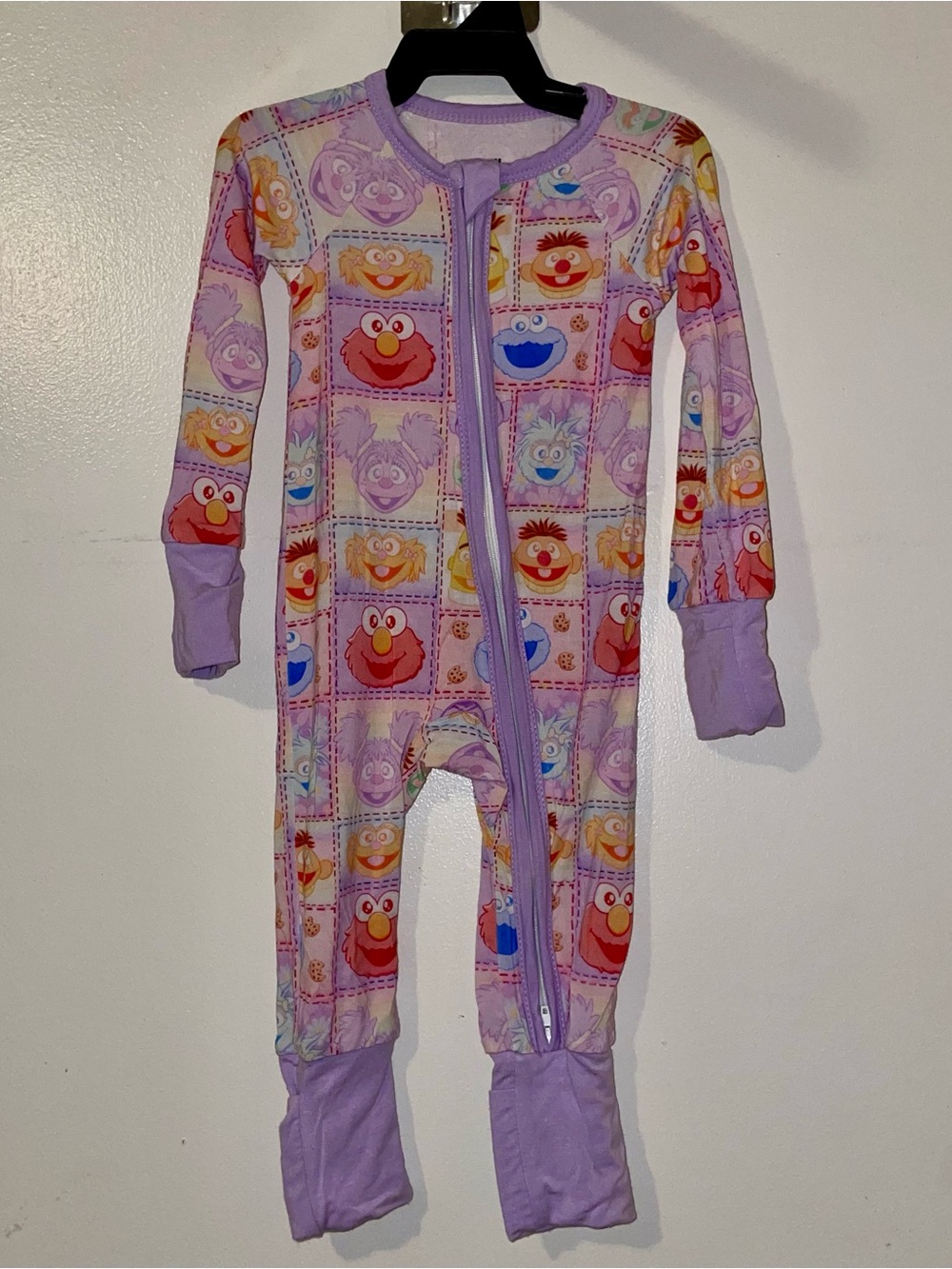 Lavender Sesame Street Character Bamboo Zippy